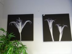 2 Canvas Prints Depicting Lilly's