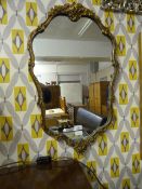 Ornamental Framed Mirror