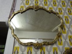 Ornamental Framed Mirror