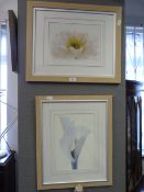 2 Beech Framed Prints Depicting Flowers