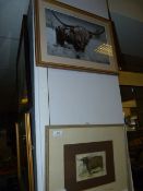 Framed Photograph Depicting Highland Cattle & Framed Painting
