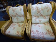 Pair of Cane Conservatory Chairs