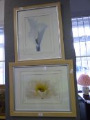 Pair of Framed Prints Depicting Lilly's