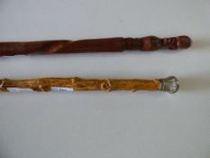 2 Walking Sticks