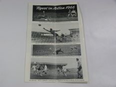 Tigers in Action 1966 Photos