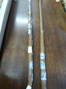 2 Walking Sticks