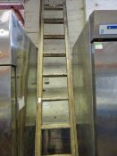 *12 Rung Wood Double Extending Ladder
