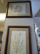 Penny Settle Limited Edition Print and Penny Settle Original Water Colour