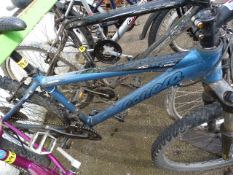 Carrera Gent's Mountain Bike - Blue with Suspension