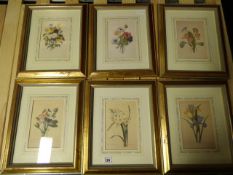 Set of 6 Gilt Framed Floral Prints