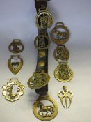 collection of horse brasses