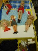 Cindy dolls wardrobe with accessories