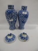 Pair of blue and white chinese vases