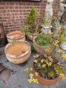 5 Terracotta Circular Pots