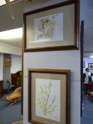 1 Watercolour 1 Limited Edition Print