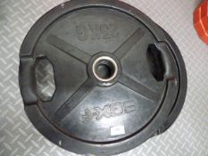 *Pair of SGX 25kg Olympic plates