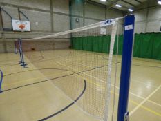 *Newitts badminton Posts