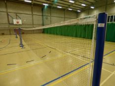 *Newitts badminton Posts