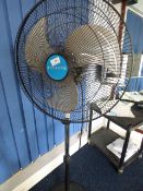 *16 Inch Cyclone pedestal fan