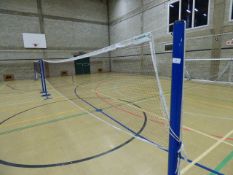 *Newitts badminton Posts