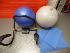 *Two Swiss ball and a dubmimiser and two yoga mats