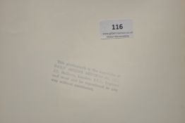 PAUL NEWMAN (DAILY MIRROR NEWSPAPER) PHOTOGRAPH