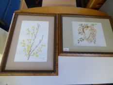 Five original water colors and limited edition prints by Penny Settle