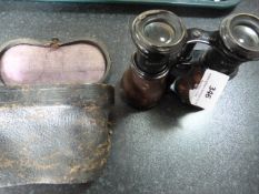 Set of sandown racing binoculars