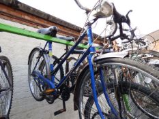 Ladies traditional rally cycle (blue)