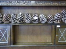 Large fern cones