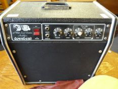 Badger downbeat 30 watt guitar amplifier