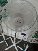 Maxim pedestal fan