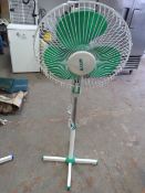Maxim pedestal fan