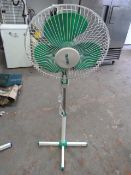 Maxim pedestal fan