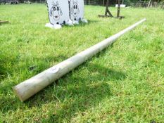 Jump pole 12 foot/3.6 meters
