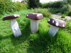Three large garden mushrooms