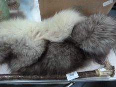 Horn Handled Walking Stick and Two Fur Collars