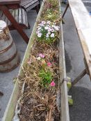 Planted Sheep Trough