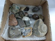 Box Containing Seventeen Geological Samples