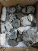 Box Containing Nineteen Geological Samples