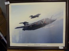 Framed Picture of Buccaneers in Flight