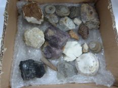 Box Containing Nineteen Geological Samples