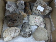 Box Containing Twelve Geological Samples