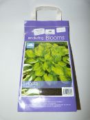 *PERENNIAL BULB ASSORTMENT