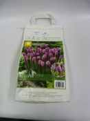 *SPRING BULB ASSORTMENT