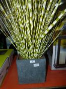 *DOGTAIL/ ZEBRA GRASS PLANTER