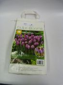 *SPRING BULB ASSORTMENT