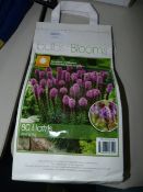 *SPRING BULB ASSORTMENT