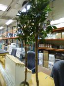 Pair of Artificial Bay Trees