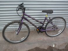 Ladies Falcon Mont Blanc Mountain Bike (Purple)